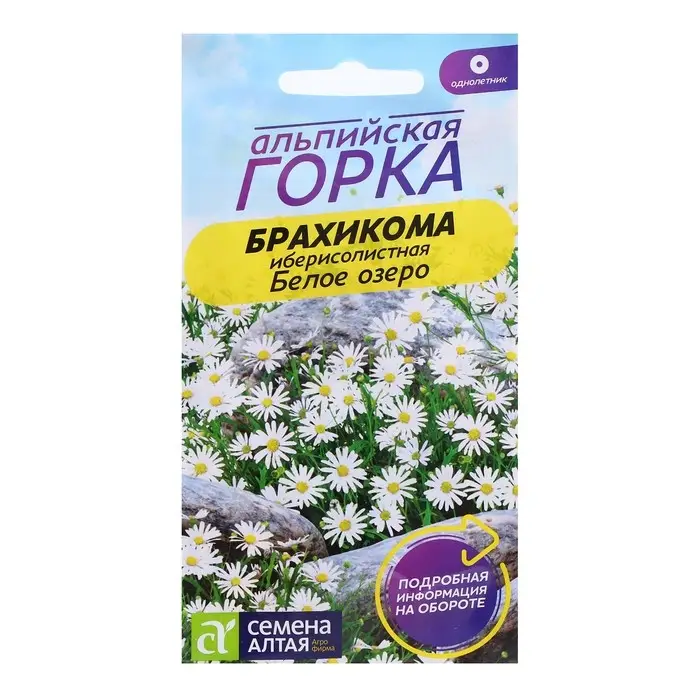 Семена Брахикома "Белое озеро", ц/п,  0,05 гр.