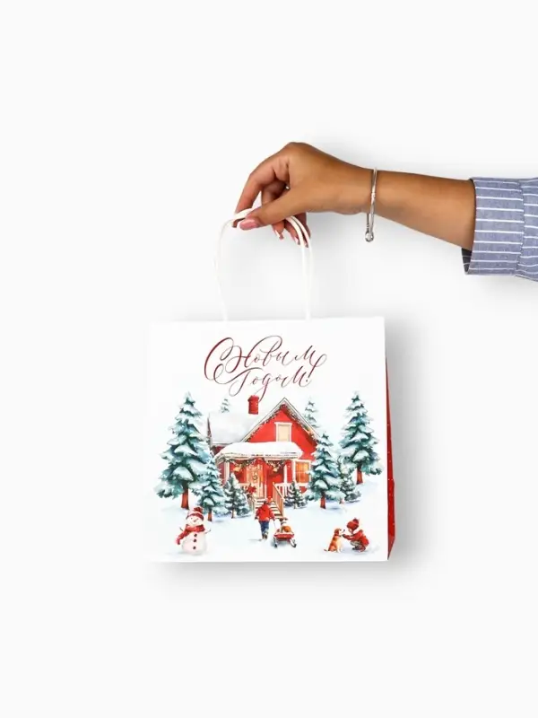 Набор пакетов крафтовых &laquo;Новогодний&raquo;, 10 шт, 22 &times; 22 &times; 11 см