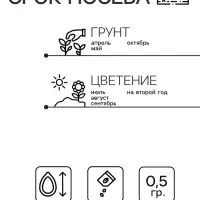Семена цветов Нивяник "Гигант", крупноцветковый, Ц/П, 0,5 г