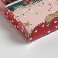 Коробка для кондитерских изделий с пластиковой крышкой «Гирлянды», 10.5 х 21 х 3 см
