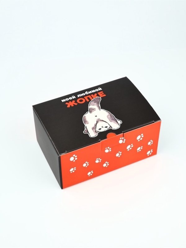 Коробка‒пенал «Забавный котик», 22 х 15 х 10 см