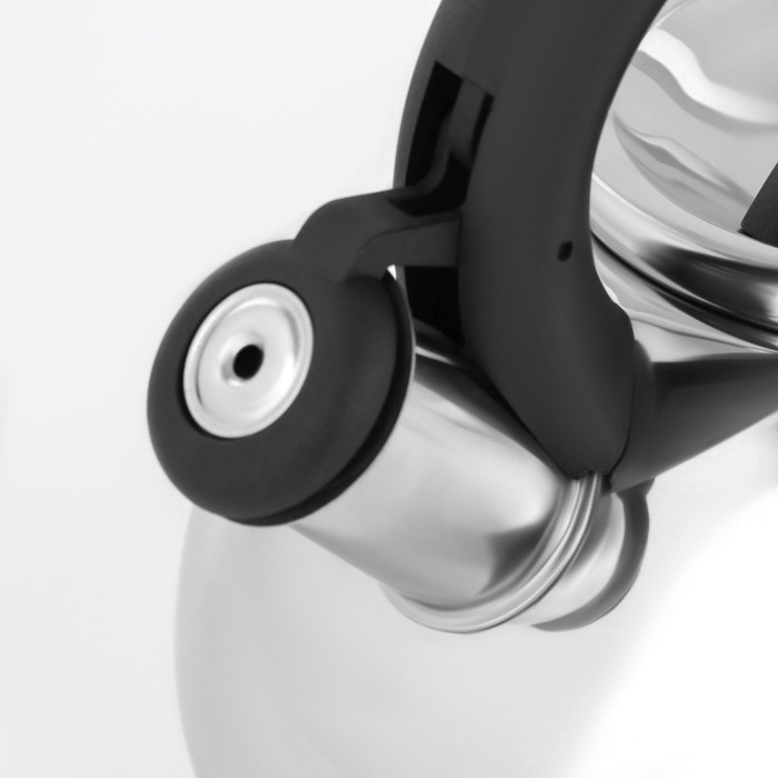 Чайник со свистком из нержавеющей стали Доляна «Квант», 2,8 л, фиксированная ручка, цвет хромированный