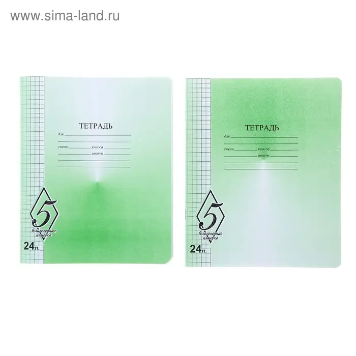 Тетрадь 24 листа клетка «Великолепная пятёрка», бумажная обложка, МИКС