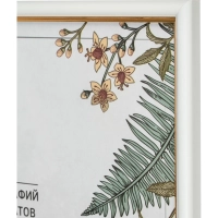 Рамка А4 21x30 см Комус/ATTACHE пластиковый багет 14мм белая/золотистая