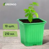 Горшок для рассады, 210 мл, d=7 см, h=6.5 см, зелёный, в наборе 10 шт., Greengo