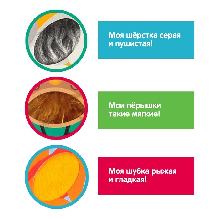 Развивающий набор «Животные леса», тактильные карточки Развивающий набор «Животные леса», тактильные карточки