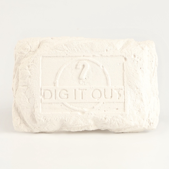 Набор для раскопок «Время динозавров» Набор для раскопок «Время динозавров»