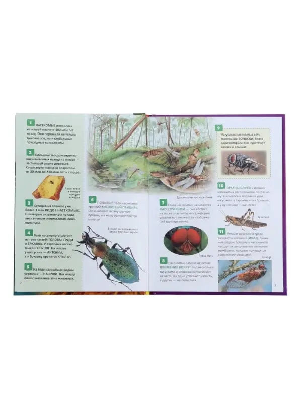 Энциклопедия российского школьника &laquo;Насекомые&raquo;