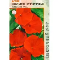 Семена Ипомея пурпурная "Скарлет О`Хара" 1 г Семена Ипомея пурпурная "Скарлет О`Хара" 1 г