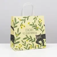 Пакет подарочный, упаковка, &laquo;Котейка&raquo;, 22 х 22 х 11 см
