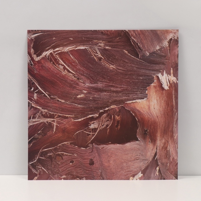 Фотофон двусторонний картон плотность 350 гр Фотофон двусторонний картон плотность 350 гр "Кора" 50х50 см