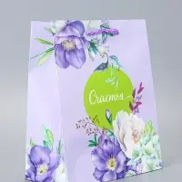 Пакет подарочный ламинированный &laquo;Счастья&hellip;.&raquo; 18&times;22.3&times;10 см