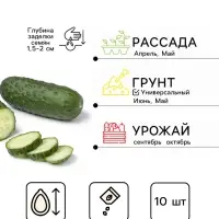 Семена Огурец &laquo;Пальчики оближешь&raquo;, F1, раннеспелый, партенокарпический, 10 шт., &laquo;Аэлита&raquo;