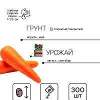 Семена Морковь &laquo;Королева осени&raquo;, простое драже, 300 шт., позднеспелая, &laquo;Росток-гель&raquo;