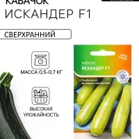 Семена Кабачок "Искандер" F1 5 шт