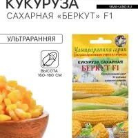 Семена Кукуруза сахарная &laquo;Беркут&raquo;, F1, 8 шт., ультраранняя, &laquo;Дом семян&raquo;