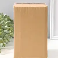 Сувенир полистоун "Влюблённые лягушата под зонтом" на полку 14 см