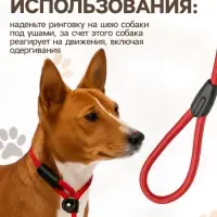 Ринговка для собак, 130&times;0.8 см, красная