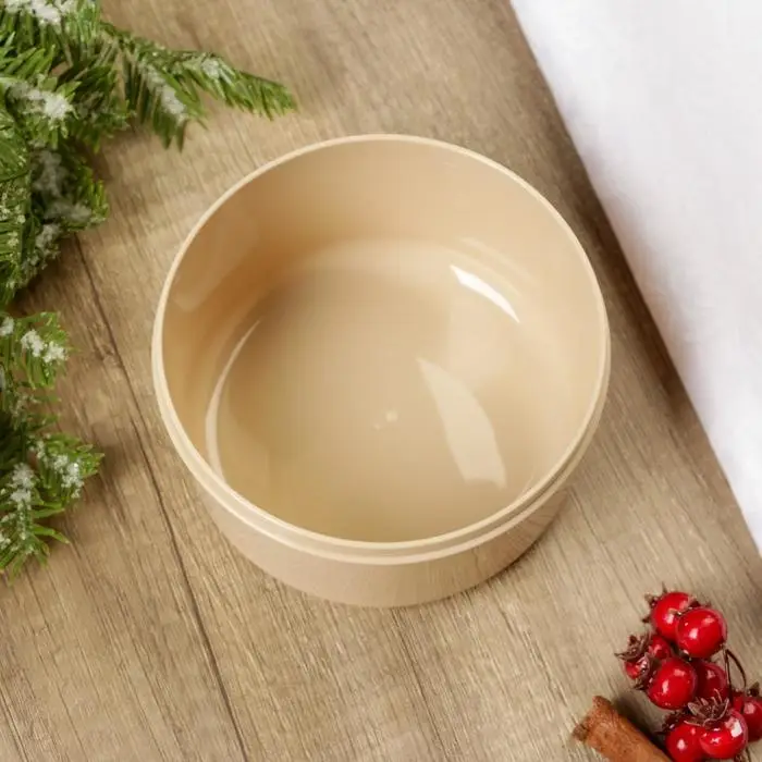 Ланч-бокс «Сияй в новом году», 500 мл