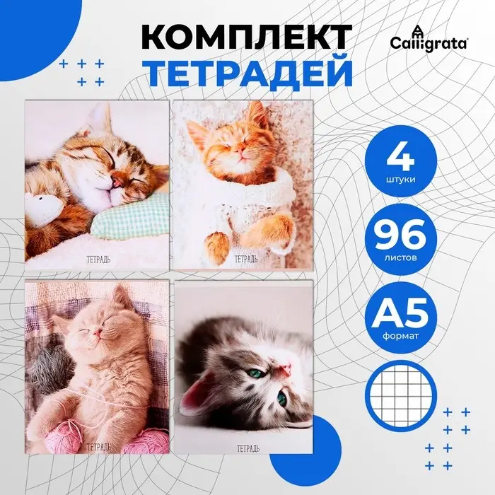 Тетради 4 штуки, 96 листов в клетку Calligrata &laquo;Котики&raquo;, обложка мелованный картон, блок офсет
