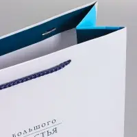 Пакет подарочный ламинированный &laquo;Большого счастья&raquo;, 26&times;12&times;32 см
