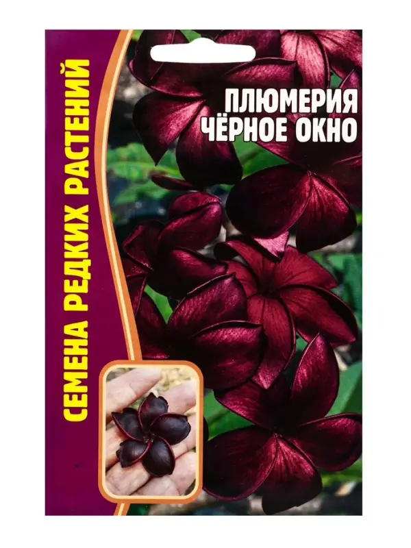 Семена цветов Плюмерия Черное Окно  3 шт.  12.29 г.