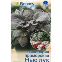 Семена цветов Цинерария Нью Лук серебристая (драже в пробирке) Спецсерия Benary, Ц/П,15 шт. 1094592 Семена цветов Цинерария Нью Лук серебристая (драже в пробирке) Спецсерия Benary, Ц/П,15 шт. 1094592