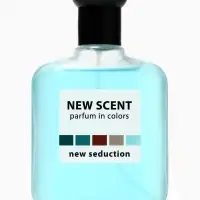 Туалетная вода мужская New Scent New Seduction, 100 мл