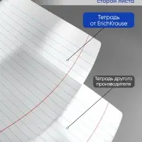 Тетрадь 24 листа в линейку, ErichKrause &laquo;Классика&raquo;, обложка мелованный картон, МИКС