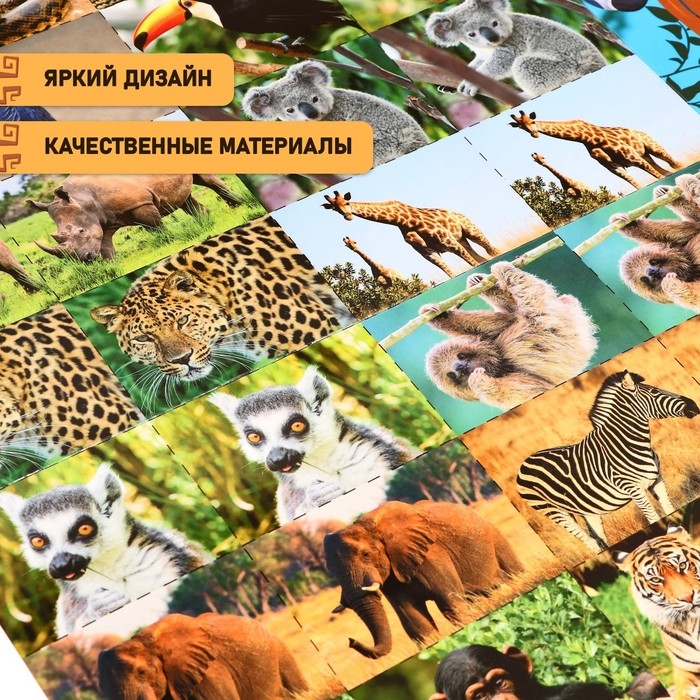 Настольная игра «Бродилка. Путешествие по джунглям» Настольная игра «Бродилка. Путешествие по джунглям»