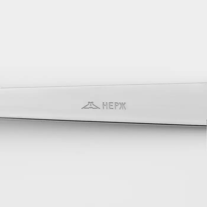 Ложка столовая &laquo;Аппетит&raquo;, длина 19.5 см, толщина 2 мм, цвет серебряный