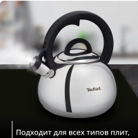 Чайник Kettle ss induction N4180317, для всех видов плит