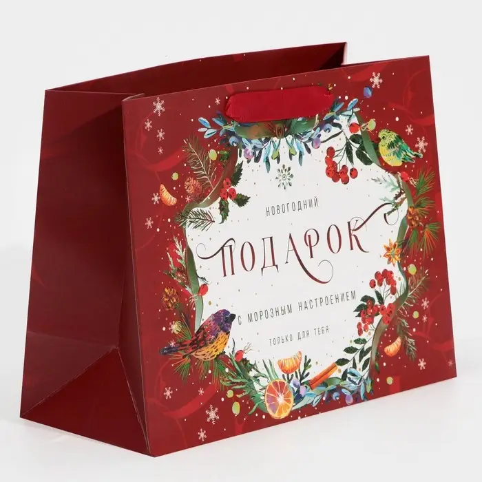 Пакет подарочный новогодний ламинированный «С морозным настроением», MS 18 х 23 х 10 см