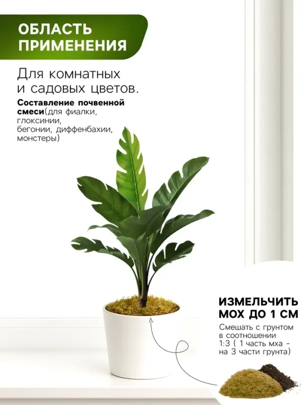 Мох сфагнум для террариумов &laquo;Рецепты дедушки Никиты&raquo; 3 л
