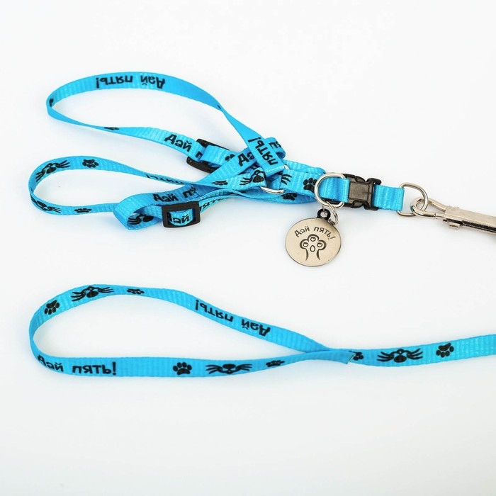 Комплект «Дай пять!», шлейка 26-39 см, поводок 120х1 см, медальон Комплект «Дай пять!», шлейка 26-39 см, поводок 120х1 см, медальон