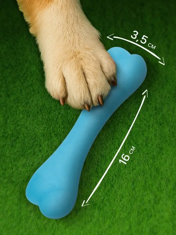 Жевательная игрушка для собак &laquo;Немалая кость&raquo;, 16 см, TPR, синяя