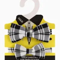 Галстук - бабочка для мальчика и папы M&B Family look, 2 шт., серый