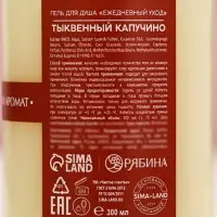 Гель для душа ЧИСТОЕ СЧАСТЬЕ, 300 мл, аромат тыквенный капучино, Новый Год