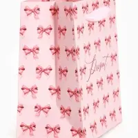 Пакет ламинированный Present, 9 &times; 12 &times; 6,5 см