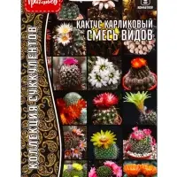 Семена цветов Кактус карликовый Смесь Видов 3 шт. / НОВИНКА 12.29 г