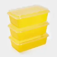 Набор контейнеров для заморозки BEROSSI Zip, 3 шт., 1 л, пластик, желтый