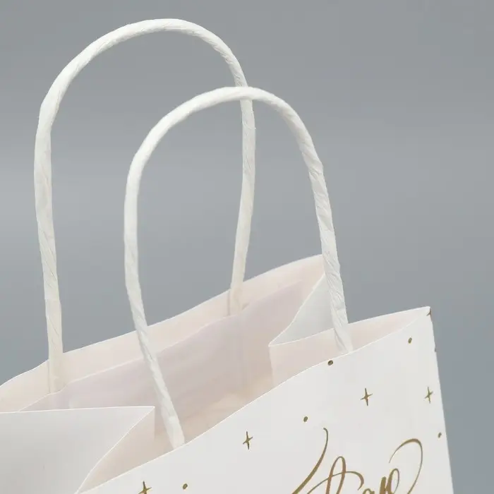 Пакет подарочный крафтовый, упаковка, «Поздравляю», 12 х 21 х 9 см Пакет подарочный крафтовый, упаковка, «Поздравляю», 12 х 21 х 9 см