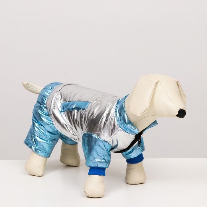 Комбинезон Комбинезон "Блеск", размер 14 (ДС 32 см, ОГ 42 см, ОШ 31 см), серебряно-голубой