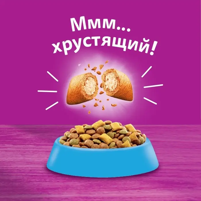 Сухой корм Whiskas для кошек, лосось, подушечки, 1,3 кг Сухой корм Whiskas для кошек, лосось, подушечки, 1,3 кг