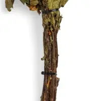 Веник для бани, дубовый, в пакете