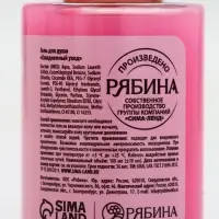Подарочный набор новогодний «Сладкого года», гель для душа 2 шт и мочалка для тела, URAL LAB