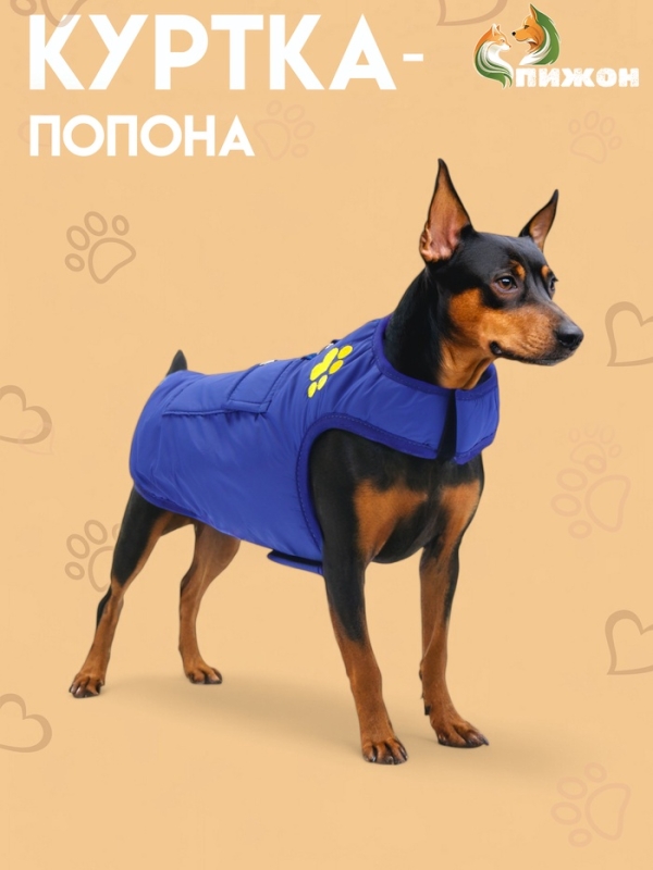 Куртка - попона двусторонняя, размер S (ДС 24, ОГ 38 см, вес 4-6 см), синяя