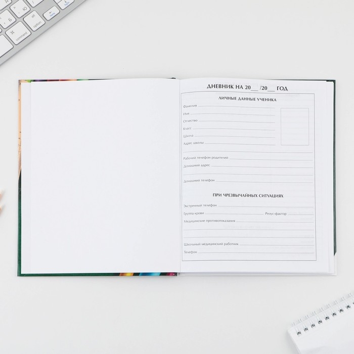 Дневник школьный 1-4 класс &laquo;Школа&raquo;, твердая обложка 7БЦ, глянцевая ламинация, 48 листов