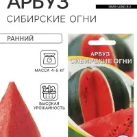 Семена Арбуз &laquo;Сибирские огни&raquo;, 10 шт., &laquo;Агрэкс&raquo;