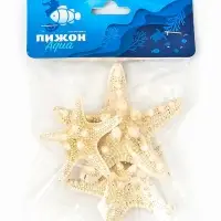Набор из 3 морских звезд, размер 5-7 см, 7-10  см, 10-12 см, белые